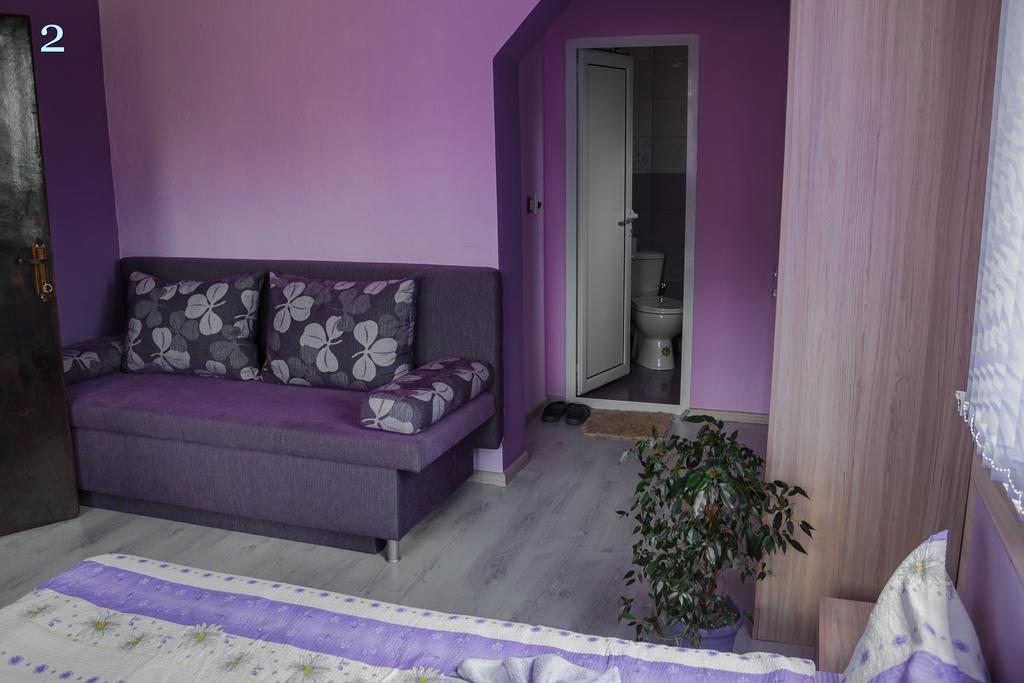 Villa Ribaritsa Exterior foto