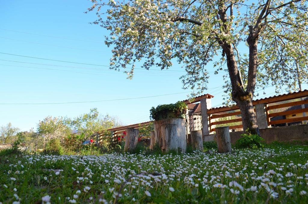 Villa Ribaritsa Exterior foto