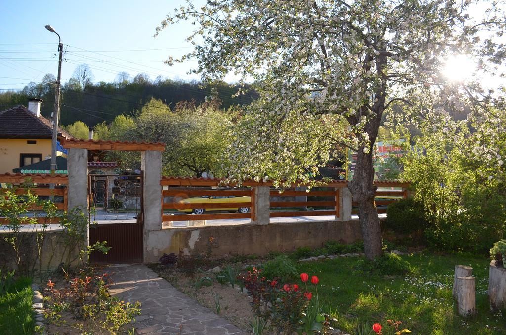 Villa Ribaritsa Exterior foto