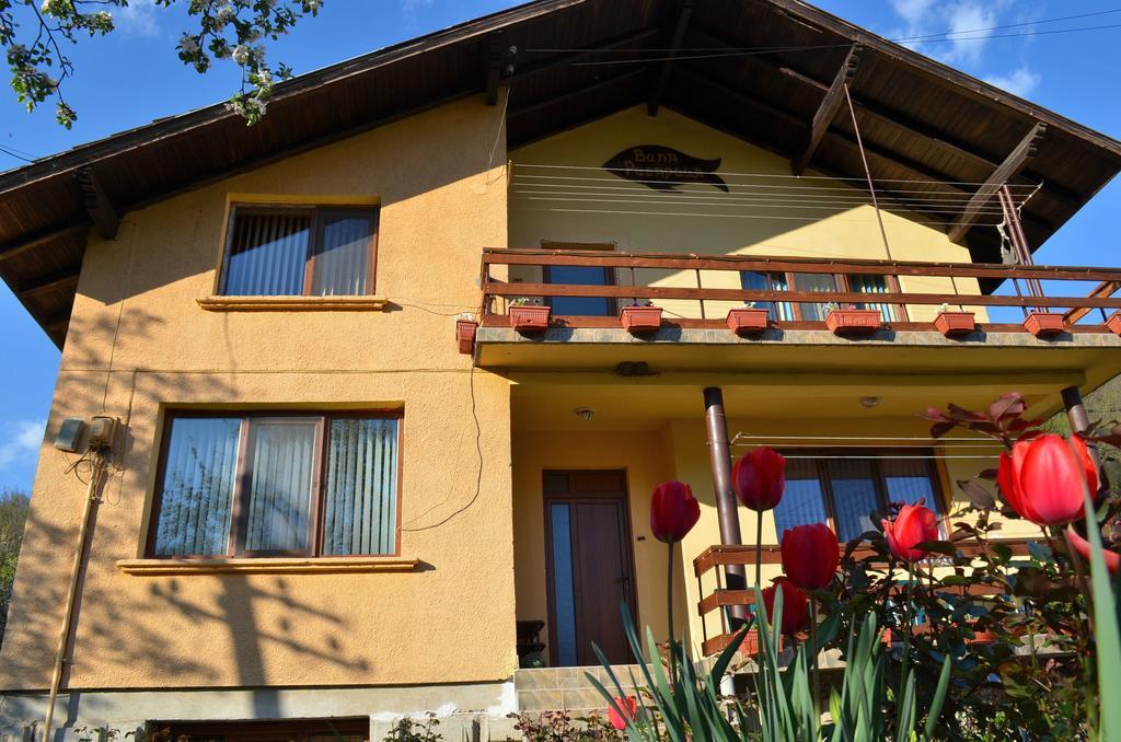 Villa Ribaritsa Exterior foto