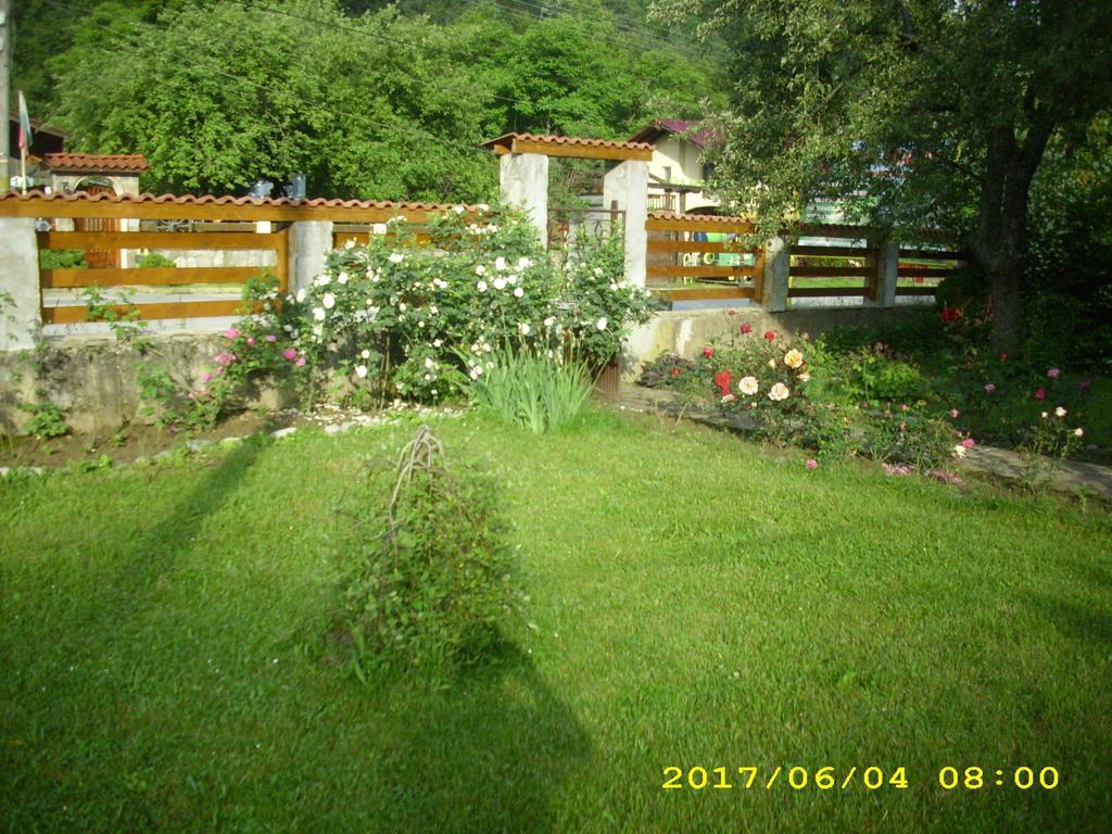 Villa Ribaritsa Exterior foto