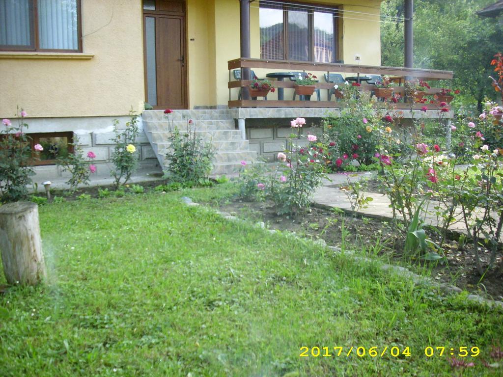 Villa Ribaritsa Exterior foto