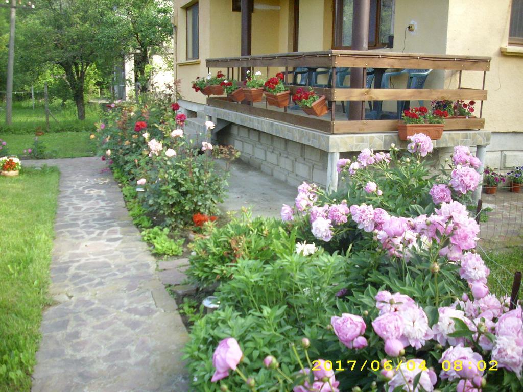 Villa Ribaritsa Exterior foto
