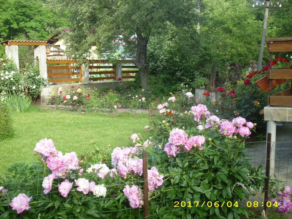 Villa Ribaritsa Exterior foto