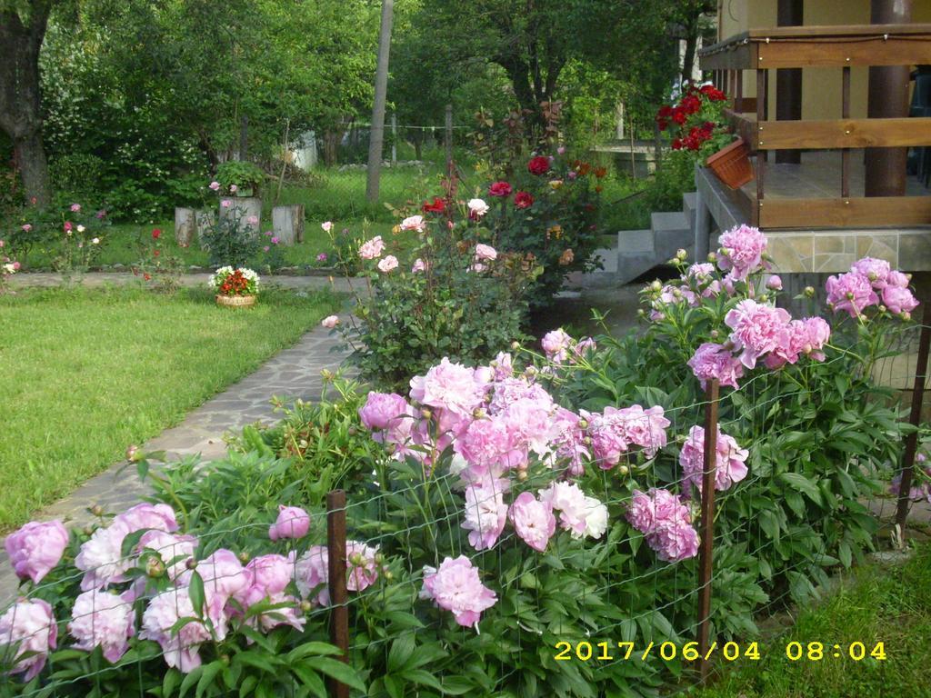 Villa Ribaritsa Exterior foto
