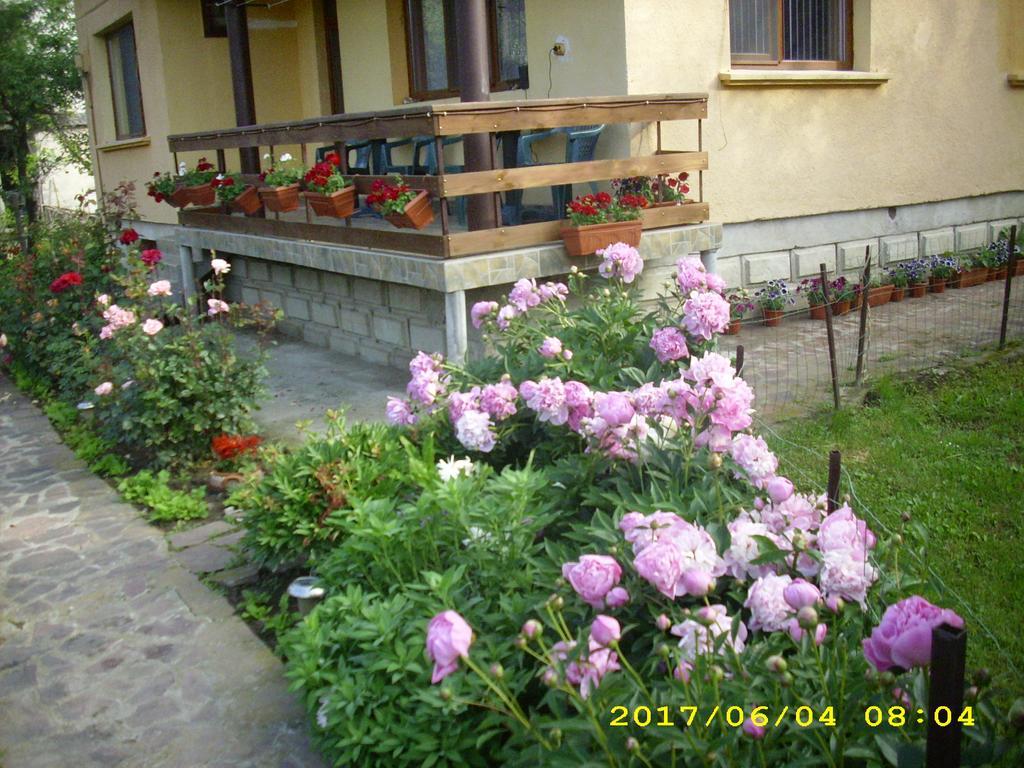 Villa Ribaritsa Exterior foto