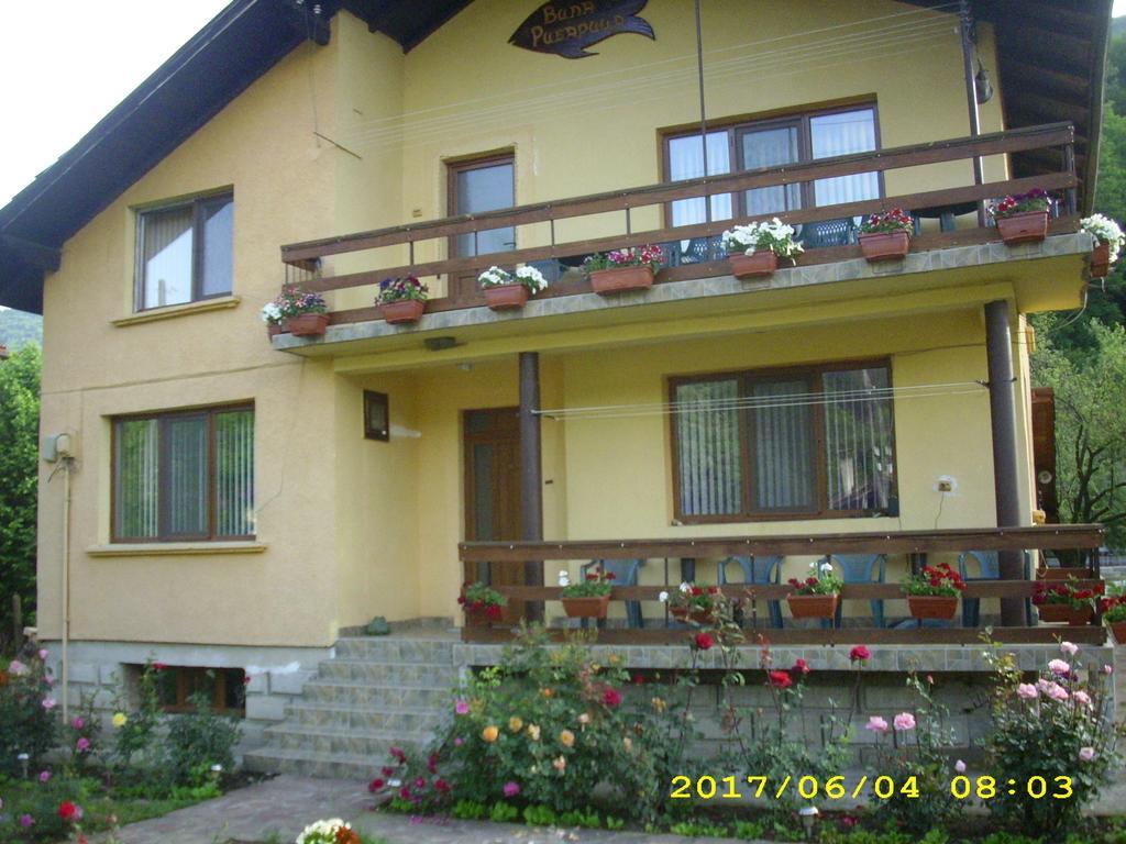 Villa Ribaritsa Exterior foto