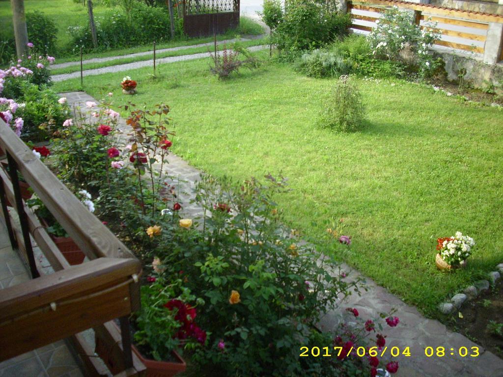 Villa Ribaritsa Exterior foto