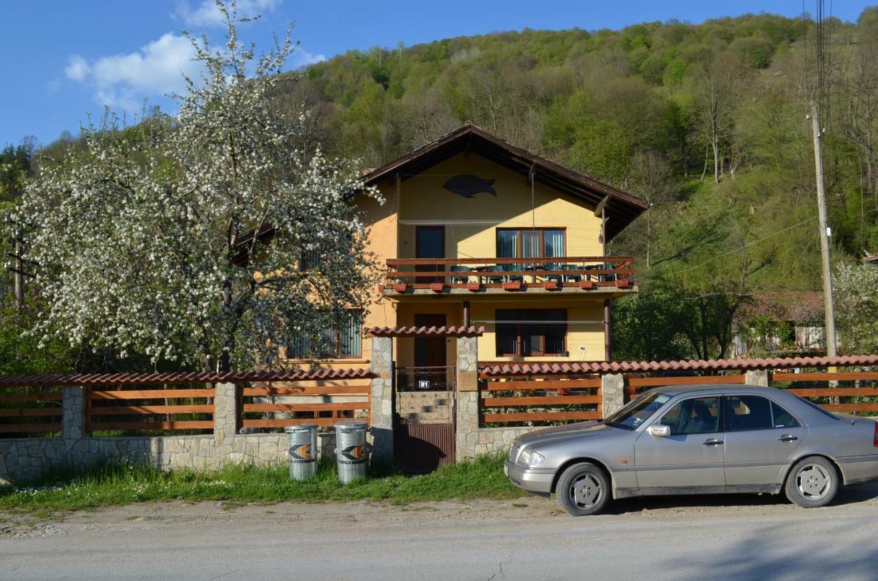 Villa Ribaritsa Exterior foto